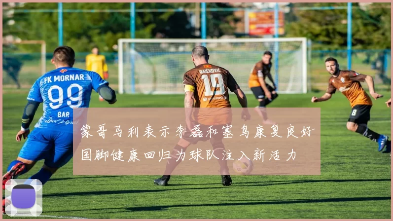 蒙哥马利表示李磊和塞鸟康复良好国脚健康回归为球队注入新活力